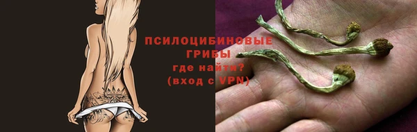 каннабис Богданович