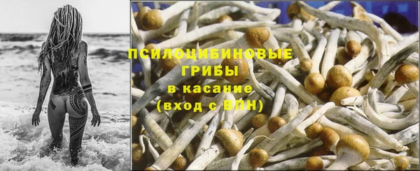 каннабис Богданович