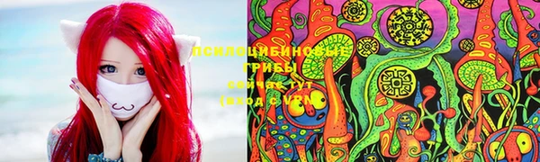 марки nbome Богородицк
