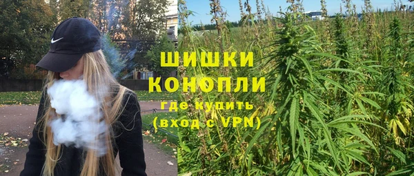 МДПВ Богородск